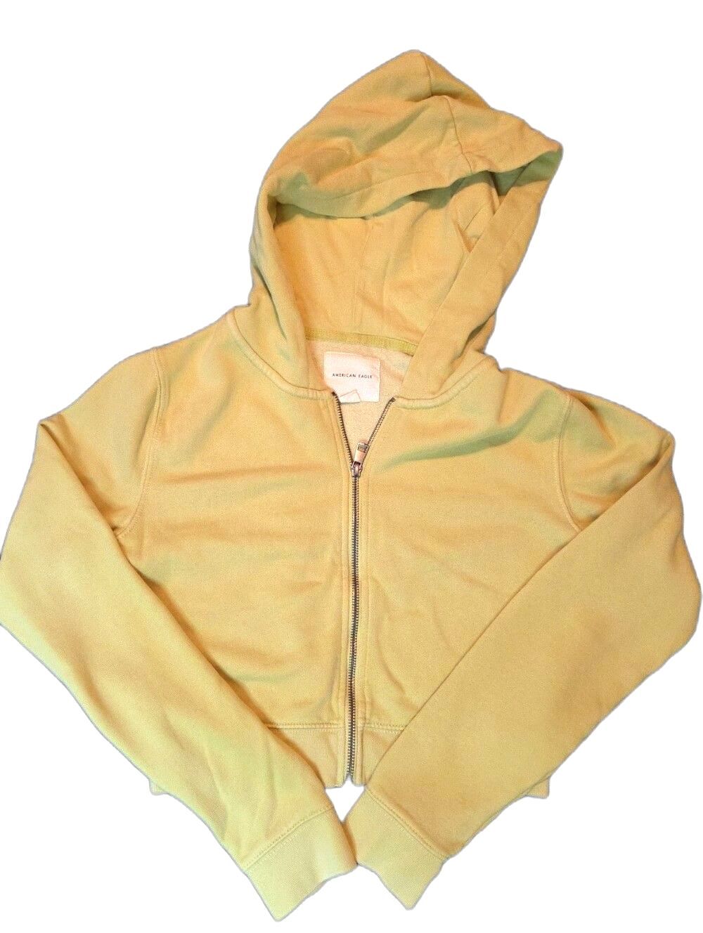 American Eagle Outfitters Light Green Zip Cropped Hoodie